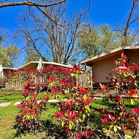 Campeggio Europa Silvella ซานเฟลีเช เดล เบนาโก ภายนอก รูปภาพ The garden of the hotel