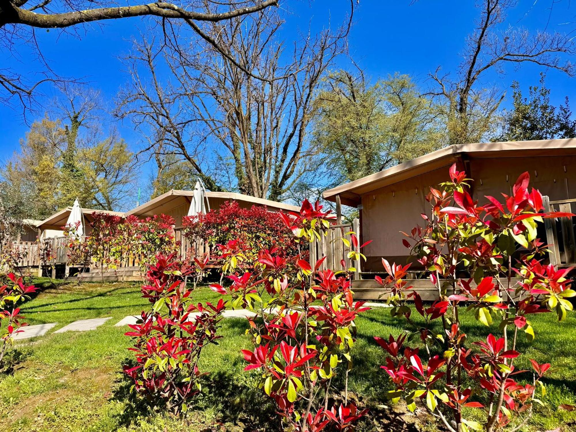 Campeggio Europa Silvella ซานเฟลีเช เดล เบนาโก ภายนอก รูปภาพ The garden of the hotel